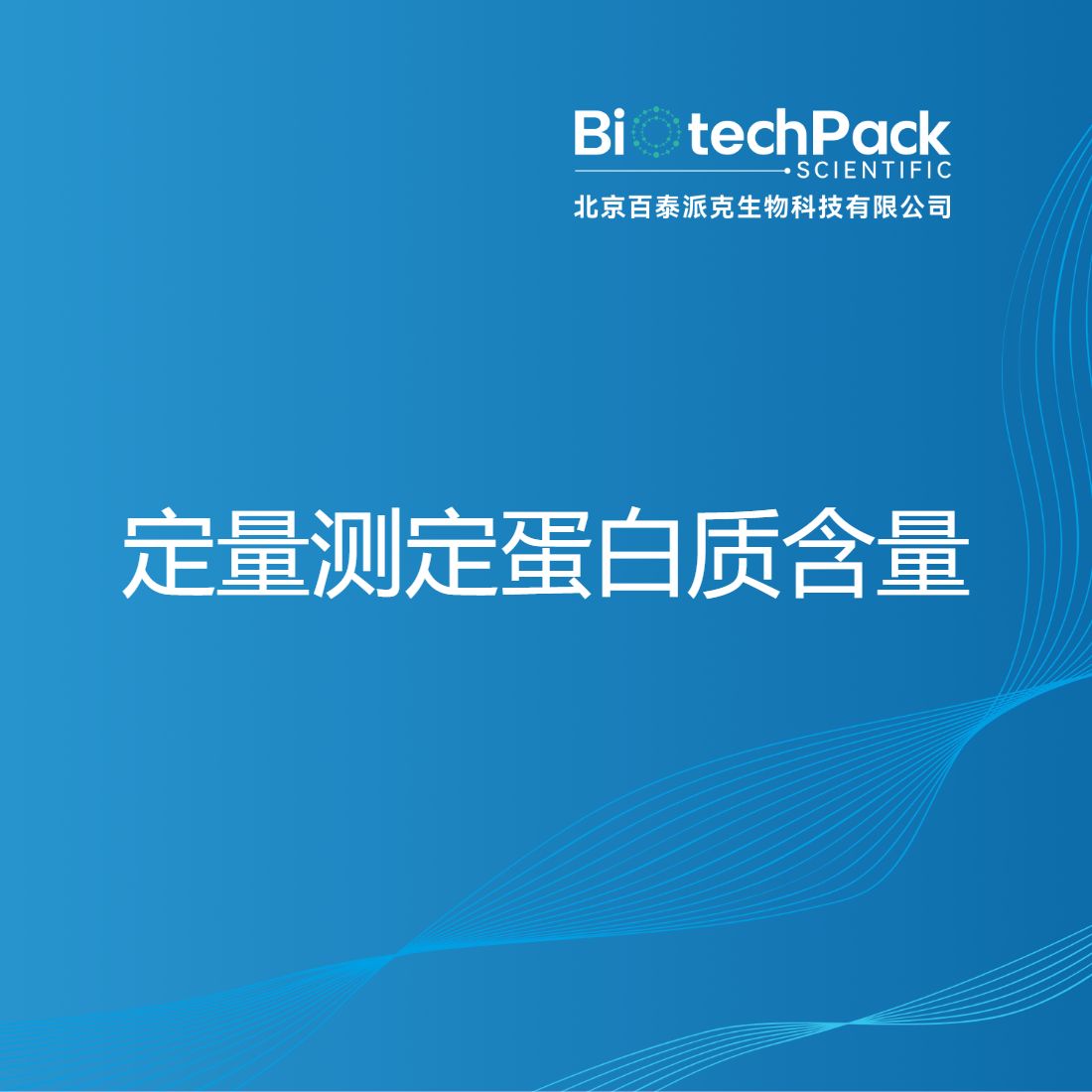 定量测定蛋白质含量