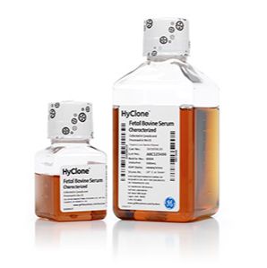 优级胎牛血清 (FBS)，源自新西兰 SH30406.05