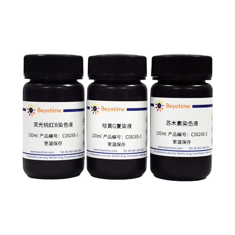 荧光桃红B潘氏细胞染色试剂盒