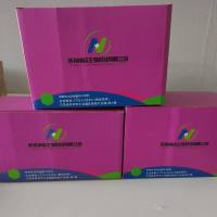 磁珠法质粒提取试剂盒（去内毒素型）