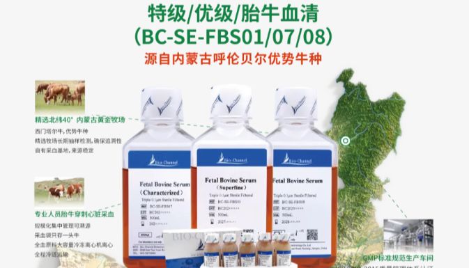 培养细胞为什么是它——胎牛血清