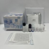 大鼠白介素1α（IL-1α）ELISA试剂盒
