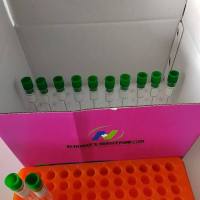 一步法病毒基因组DNA/RNA快速提取纯化试剂