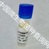 肠炎沙门氏菌肠炎亚种