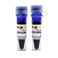 变性非还原性蛋白上样缓冲液(5X)