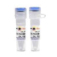 SDS-PAGE蛋白上样缓冲液(5X, 不含溴酚蓝)