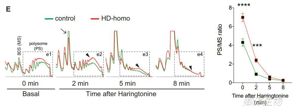 常用翻译抑制剂