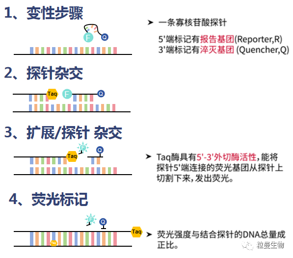 技术资料图片1