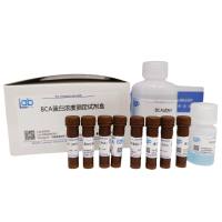 即用型BCA蛋白定量试剂盒