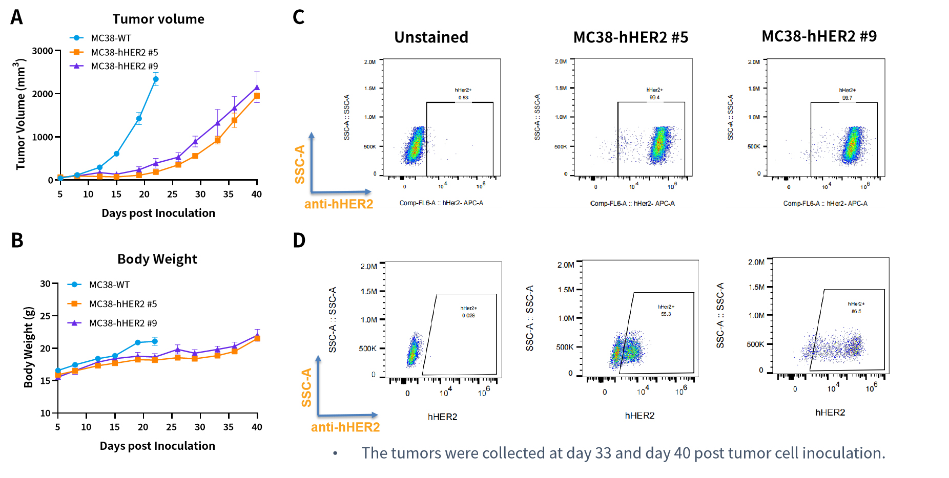 一加一大于二，一文读懂ADC药物