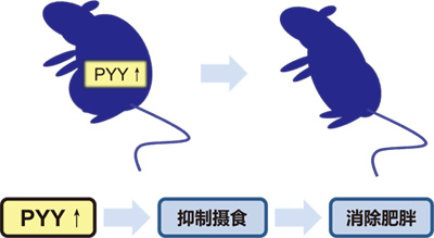 0514467146063418.jpg 0514467146063418.jpg