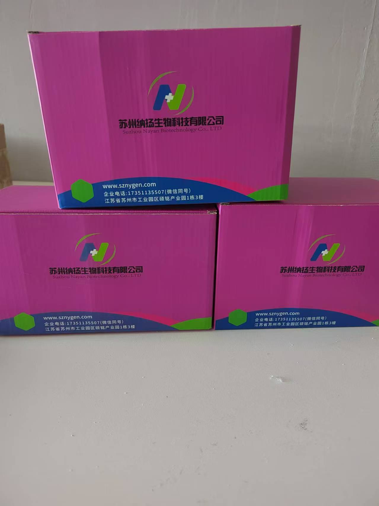 磁珠法通用型RNA快速提取试剂盒