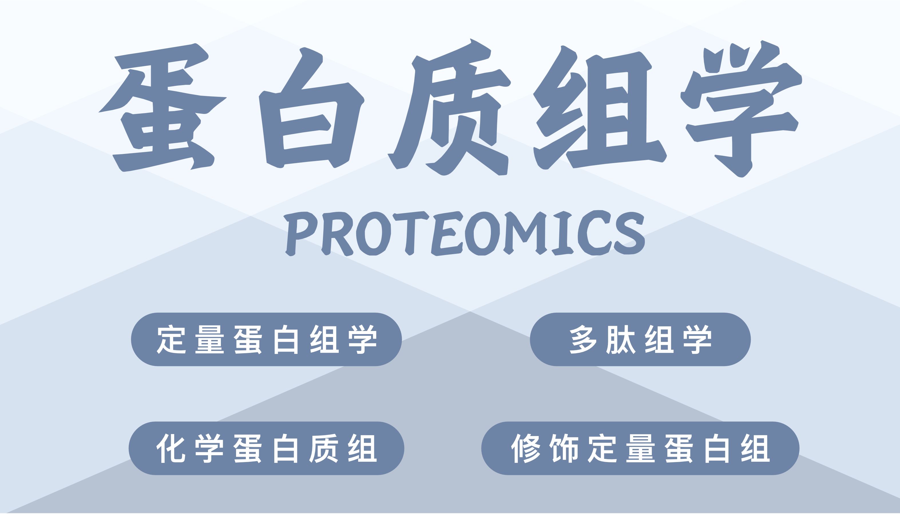 业务速览 | 蛋白质组学产品介绍