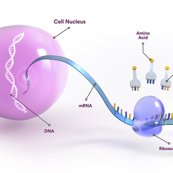 RNAProtect组织/细胞/细菌总RNA提取试剂盒