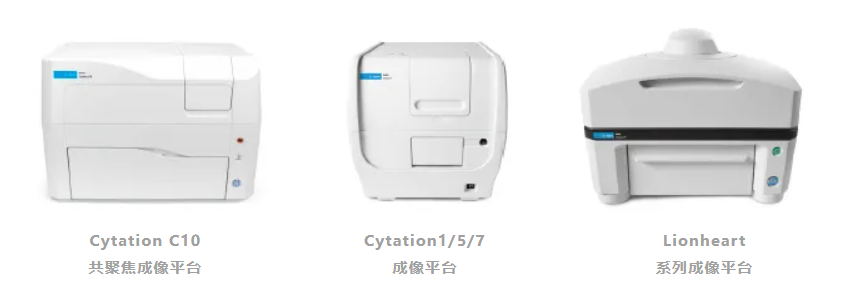 解码神经网络:安捷伦推出全新高通量神经分析新工具