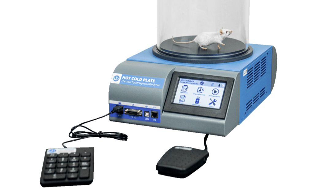 Ugo Basile | 经典冷热刺激实验——啮齿类动物热板实验操作介绍