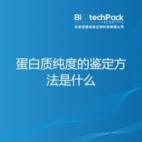 蛋白质纯度的鉴定方法是什么