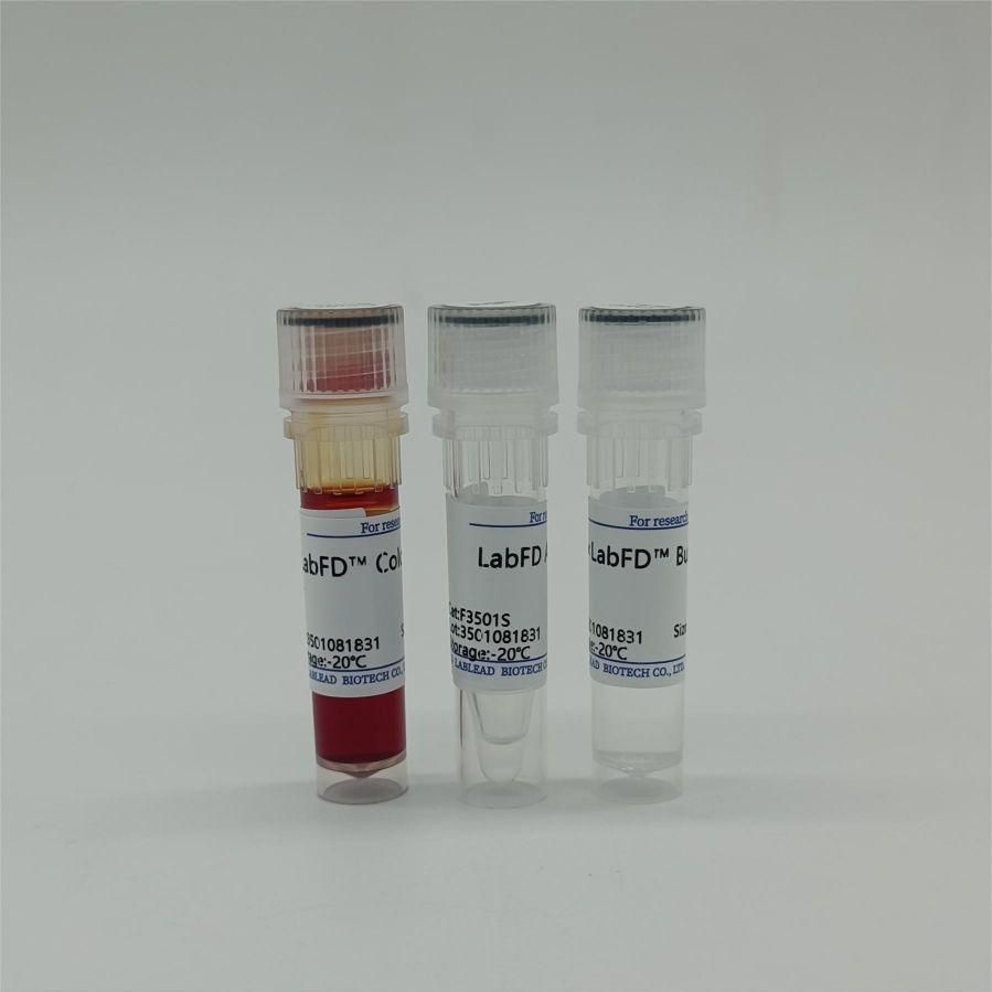 快速内切酶 AgeI