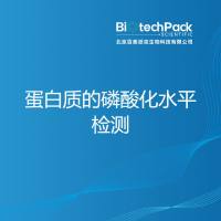 蛋白质的磷酸化水平检测-百泰派克生物科技