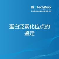 蛋白泛素化位点的鉴定-百泰派克生物科技
