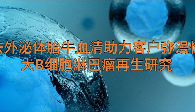 IF=27.7| Umibio去外泌体胎牛血清助力客户弥漫性大B细胞淋巴瘤再生研究！