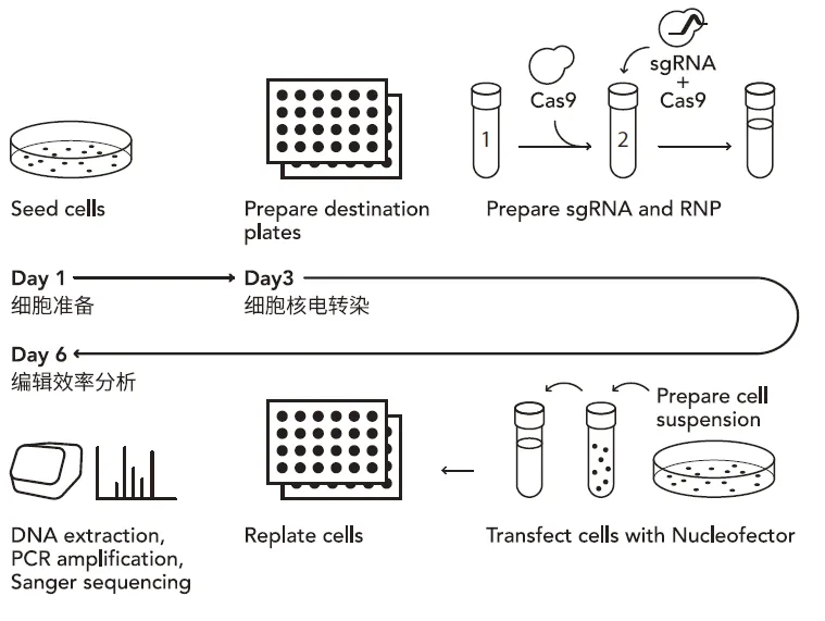 技术资料图片10