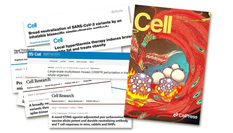 和元李记转染试剂发文量达189篇，IF平均值达10+，累积值超2000+！