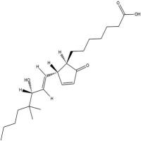 16,16-dimethyl Prostaglandin A1