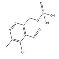Pyridoxal 5 phosphate