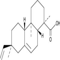 Isopimaric Acid