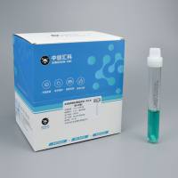 即用型煌绿乳糖胆盐肉汤(BGLB)(含小倒管)