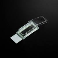 细胞培养腔室载玻片