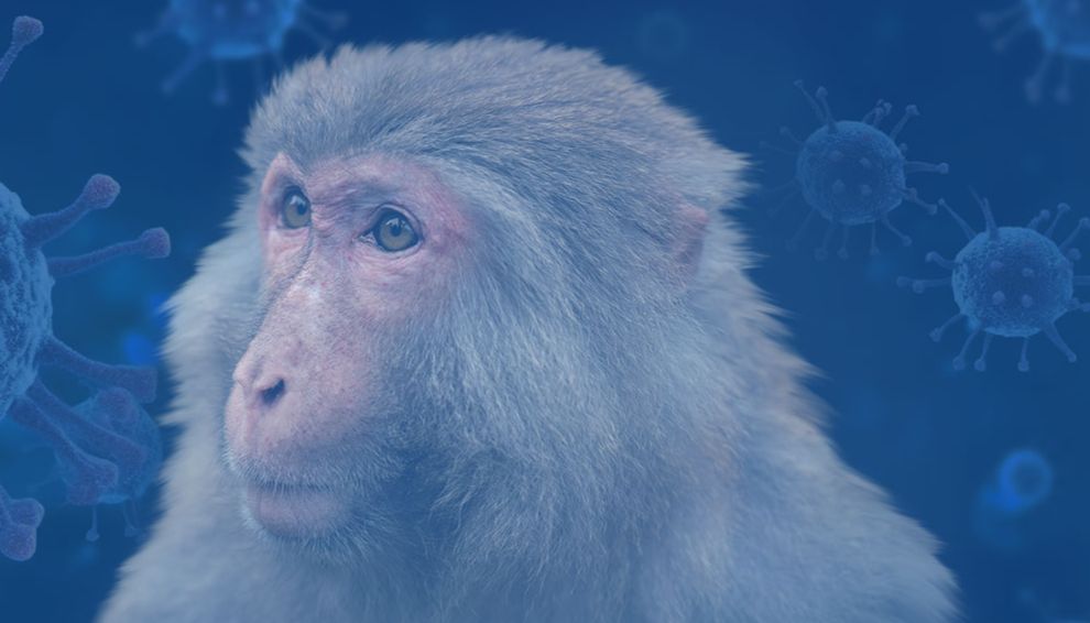 Cell重磅：猴痘mRNA-LNP疫苗更加有效