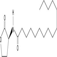 N-pentadecanoyl-L-Homoserine lactone