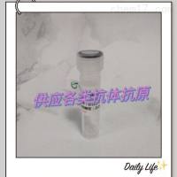 补体B因子成分抗血清