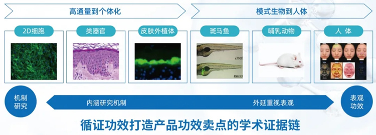祝贺！环特申报的多款特殊化妆品注册证一次性获批！