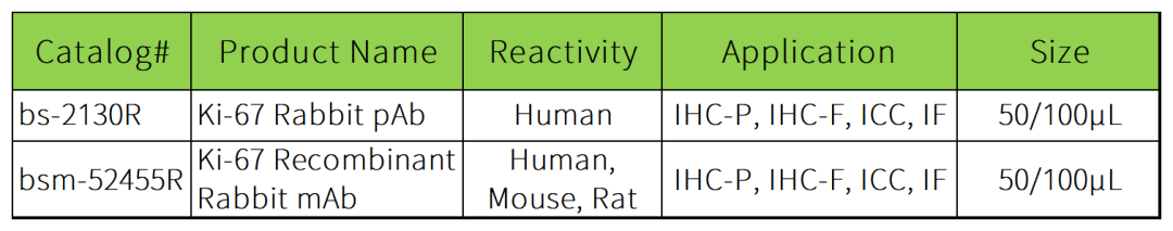 肿瘤标志物│一文了解Ki-67的生理及病理意义