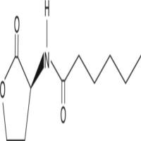 N-hexanoyl-L-Homoserine lactone