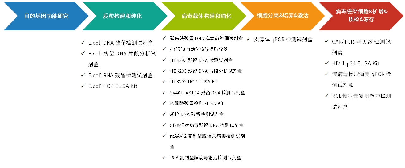 CGT药物研发及生产流程的质量安全控制策略