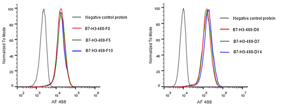定点荧光标记蛋白：轻松搞定CAR-T阳性率检测