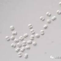 特色动物实验简介