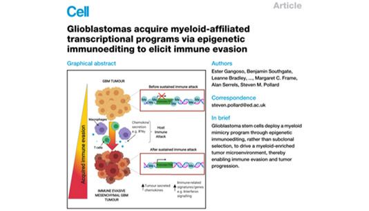 Cell重磅，胶质母细胞瘤如何实现“免疫逃逸”，100%单细胞分选技术助力细胞系构建！