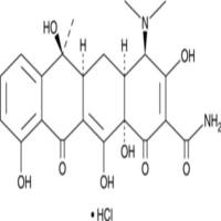 Epitetracycline (hydrochloride)