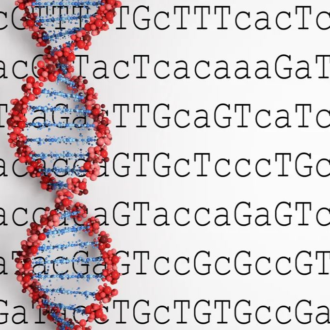 微生物16S扩增子测序分析