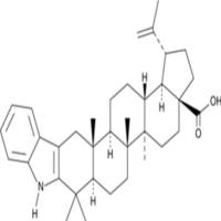 2,3-Indolobetulonic Acid
