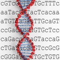 多肽合成常见问题（二）