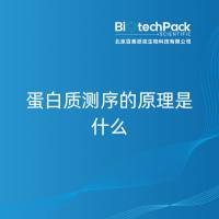 蛋白质测序的原理是什么