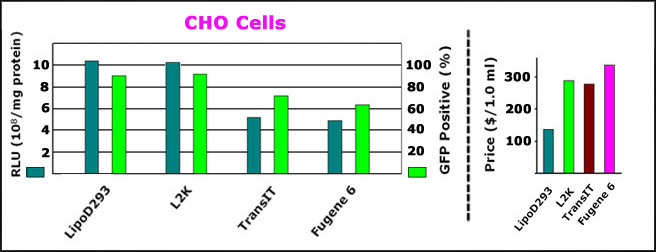 LipoD293™体外DNA转染试剂升级版