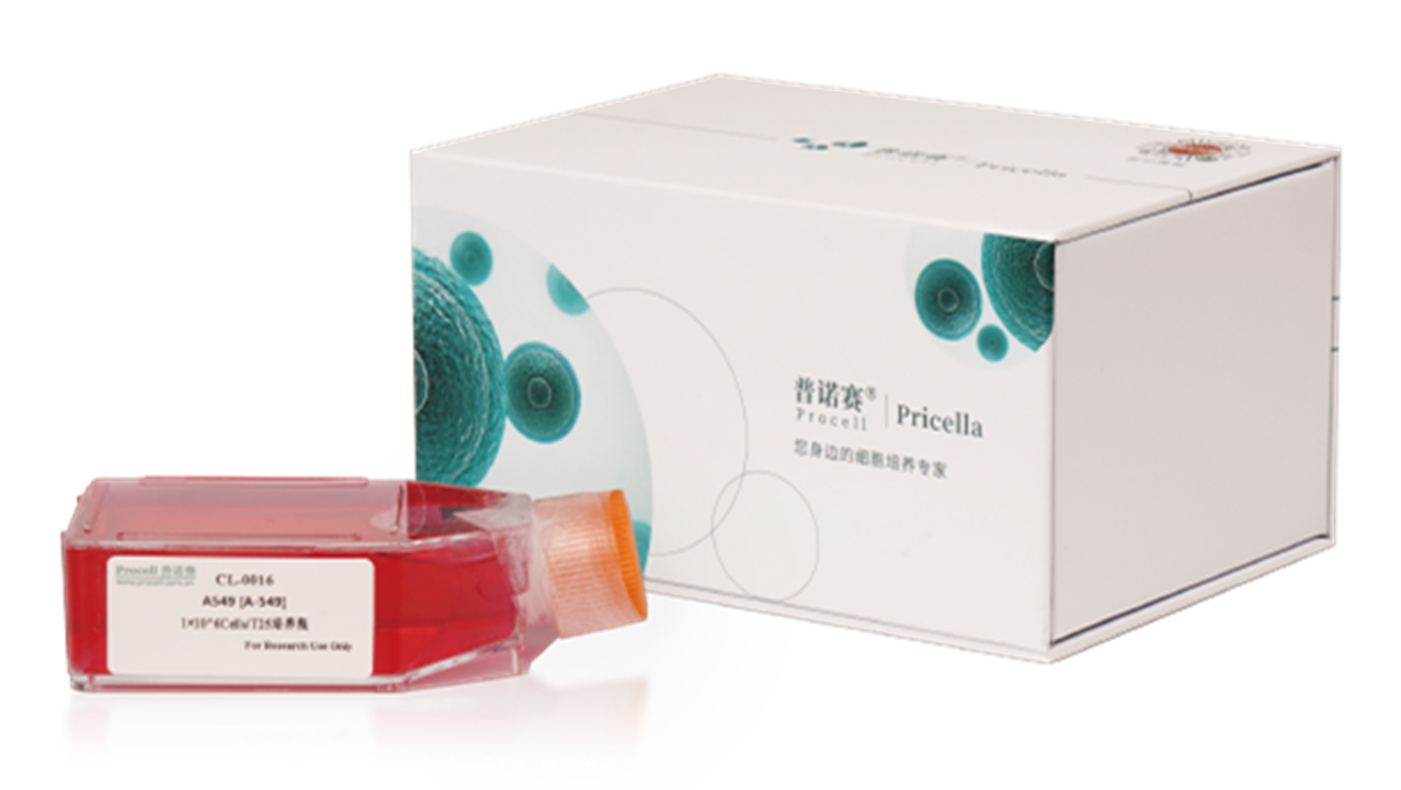 HA（人羊膜细胞）