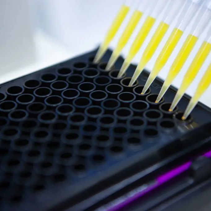 ELISA实验类型及原理